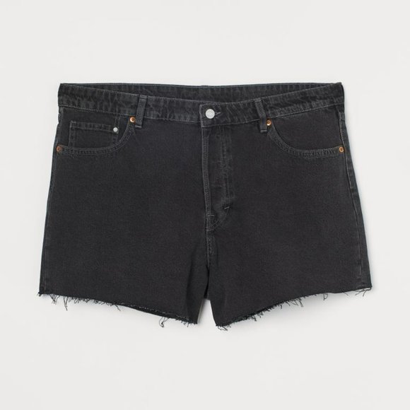 H&M + Denim Vintage High Rise Denim Shorts - Picture 1 of 9
